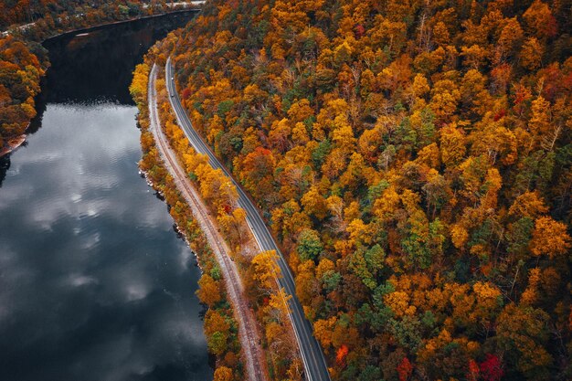 Paysage d'une route dans une forêt couverte d'arbres jaunis entourée d'un lac