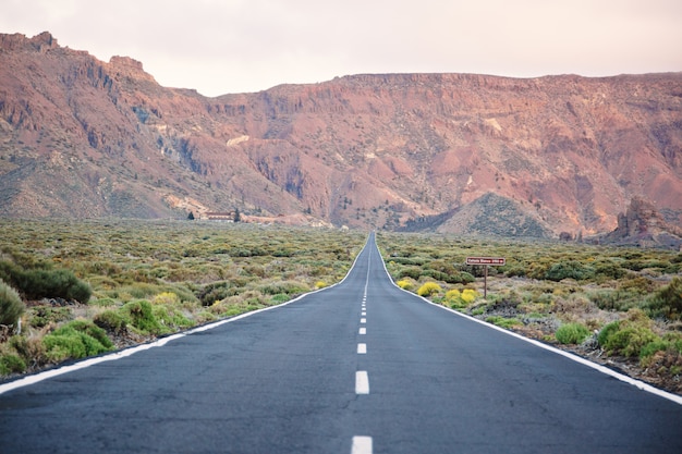 Paysage routier de Tenerife