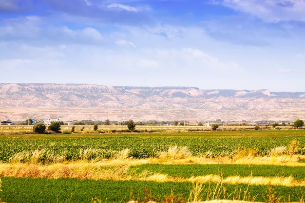 Paysage rural en Aragon