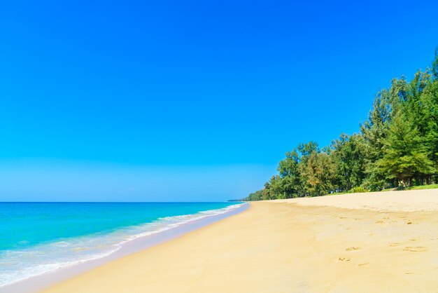 paysage tropical extérieur fond naturel