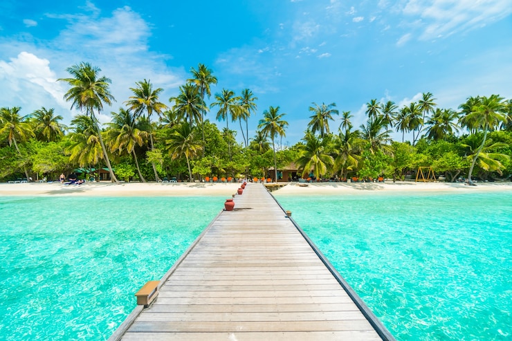 Photo gratuit paysage tropical vacances palme été