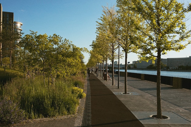 Paysage urbain analogique avec des bâtiments à la lumière du jour