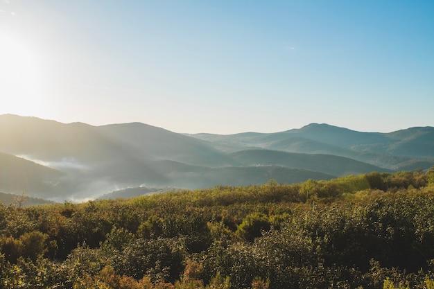 Paysage vallonné avec de l&#39;herbe au premier plan