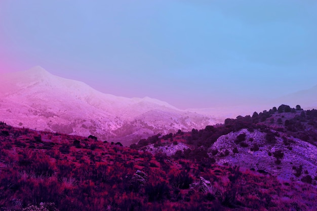 Paysage de vaporwave rétro esthétique