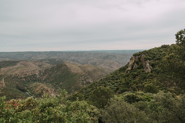 Paysage verdoyant avec beaucoup d'arbres verts et de montagnes sous les nuages d'orage