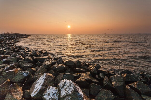 Paysages à couper le souffle du coucher du soleil se reflétant dans la mer aux Pays-Bas