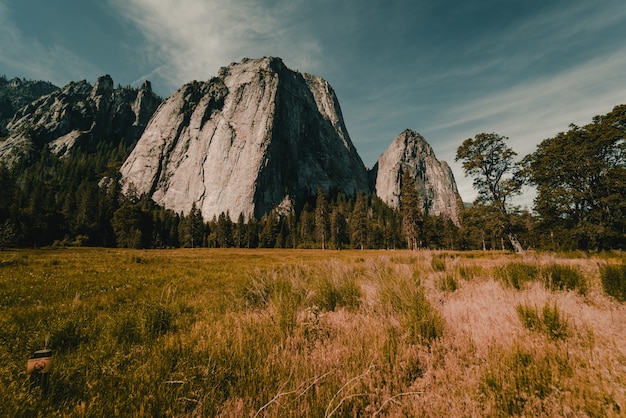 Photo gratuite des paysages étonnants à couper le souffle d'une belle forêt dans la campagne