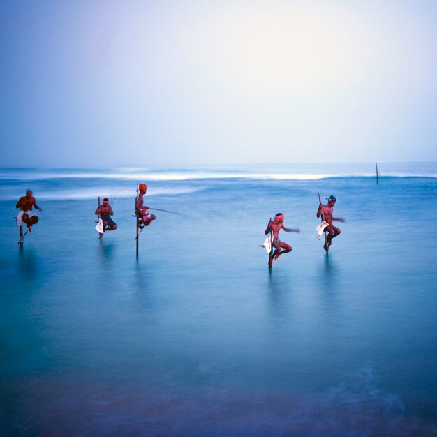 Pêcheurs traditionnels sur pilotis au Sri Lanka.