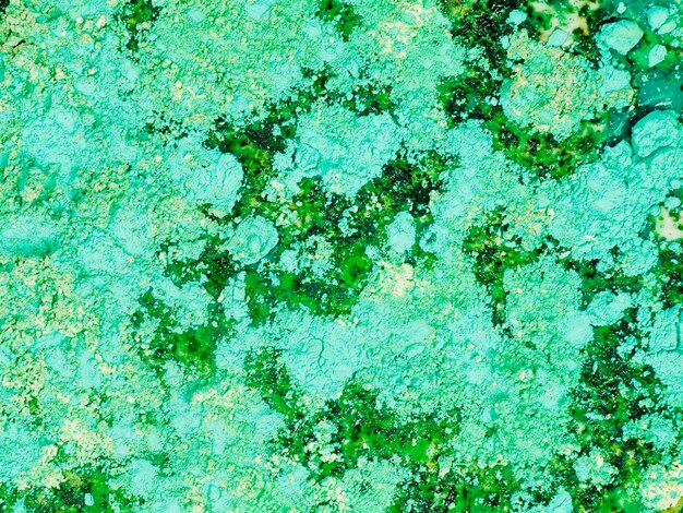 Peint l&#39;eau colorée verte avec de la poudre