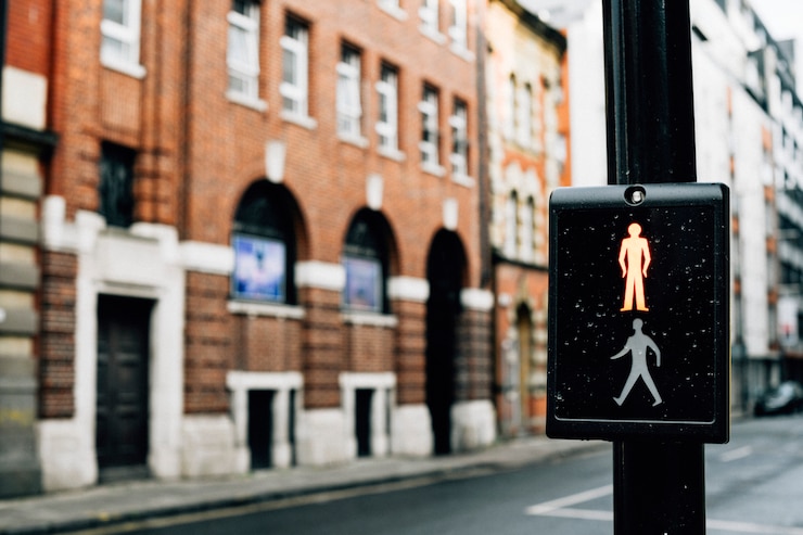 Photo gratuit pélican britannique traversant dans une ville