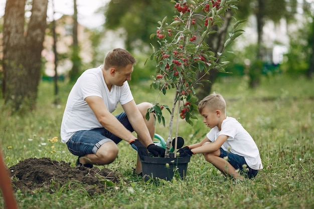 Père avec petit fils sont en train de planter un arbre sur une cour