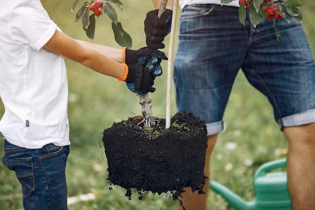 Père avec petit fils sont en train de planter un arbre sur une cour