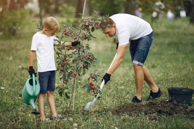 Père avec petit fils sont en train de planter un arbre sur une cour