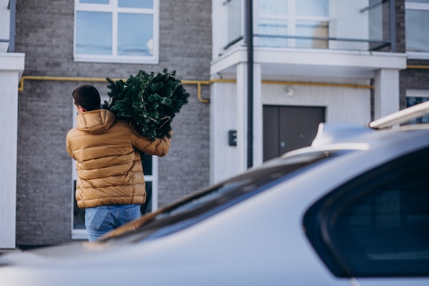 Photo gratuite père, porter, arbre noël, maison