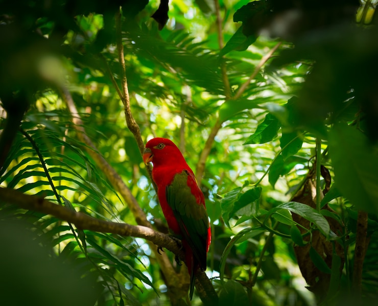 Photo gratuit perroquet exotique en jungle