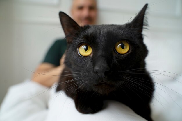 Une personne âgée passe du temps avec son animal de compagnie