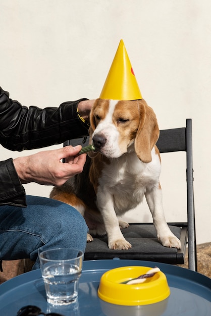 Photo gratuite personne âgée avec son chien