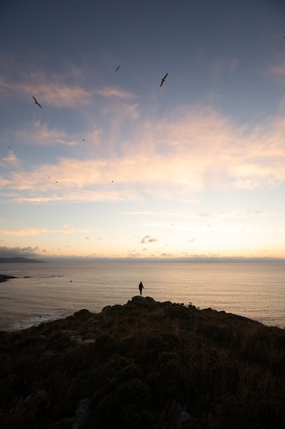 Photo gratuite personne debout au sommet d'une colline au bord de la mer au coucher du soleil - concept de réussite