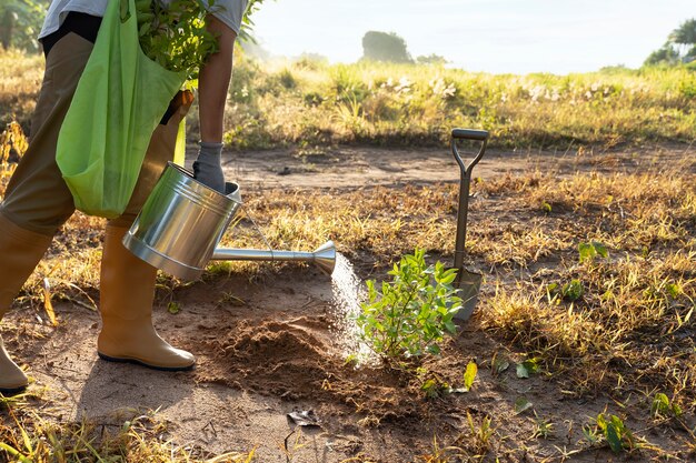 Personne plantant un arbre à la campagne