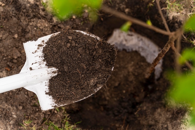 Personne plantant à l'extérieur un arbre