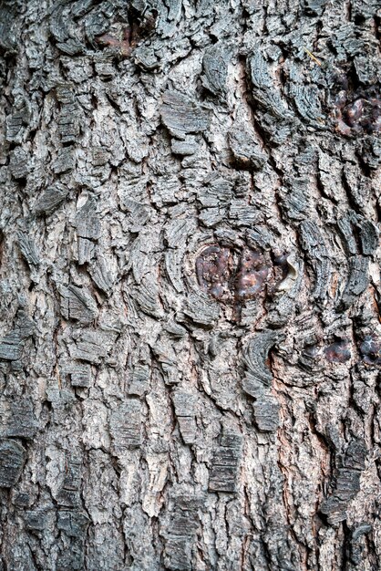 Personne plongée en bois grungy blank