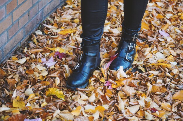 Personne portant des bottes en cuir noir marchant dans les feuilles colorées