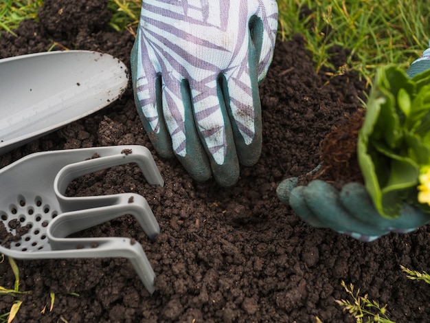 Une personne qui creuse du sol pour planter des semis