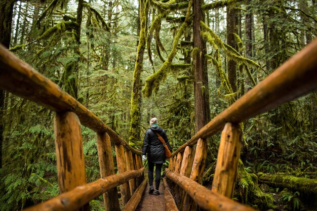 Personne qui marche sur un pont étroit en bois avec une forêt moussue