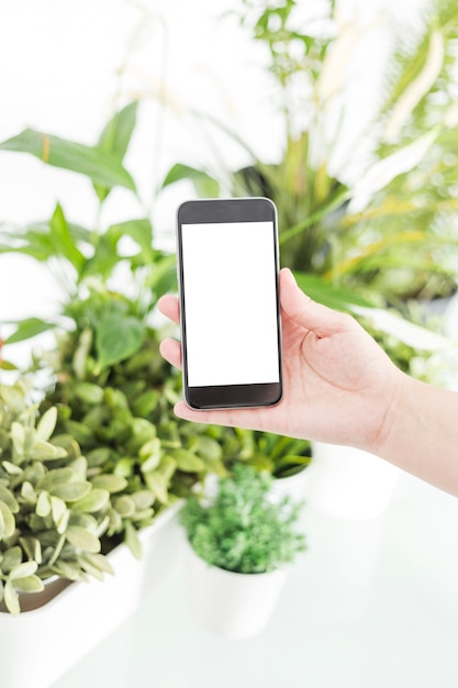 Une personne tenant un téléphone portable près de plantes en pot