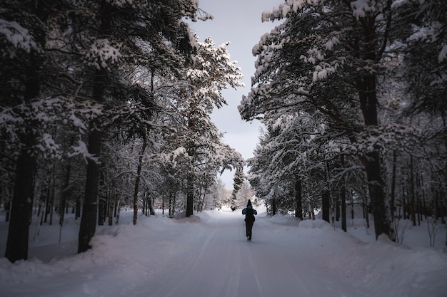 Une personne en vêtements chauds marchant sur un chemin enneigé avec des arbres autour