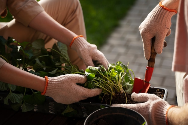 Personnes à angle élevé prenant soin des plantes