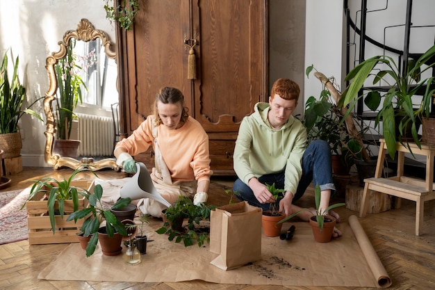 Personnes repiquant des plantes dans de nouveaux pots