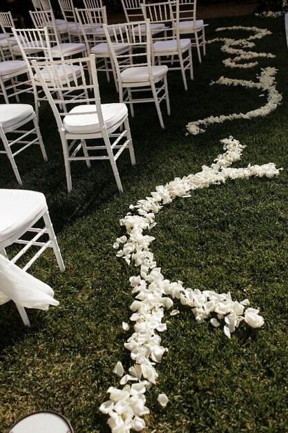 Pétales blancs tendres se trouvent sur l&#39;herbe verte le long des chaises blanches