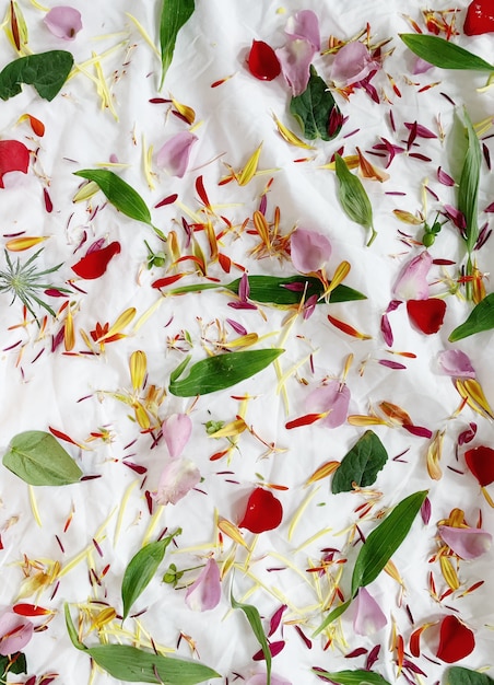 Pétales de fleurs et feuilles sur une nappe