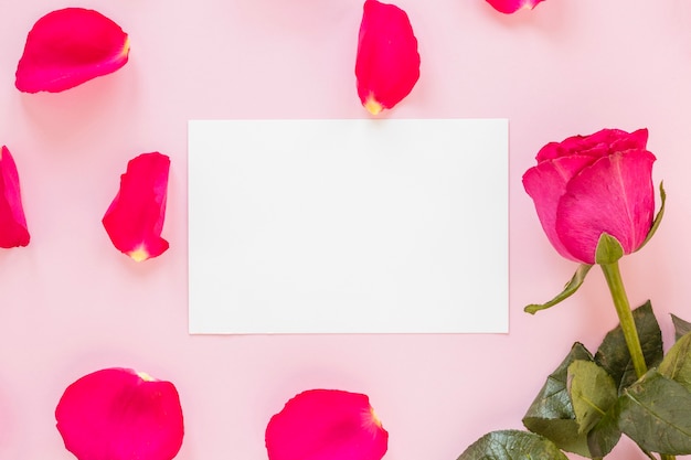 Pétales de rose avec du papier pour la Saint Valentin