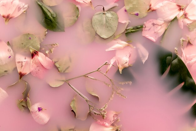 Pétales roses et feuilles dans de l'eau colorée rose