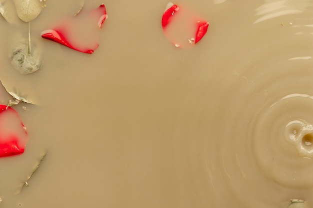 Pétales rouges dans de l'eau brune avec un espace de copie