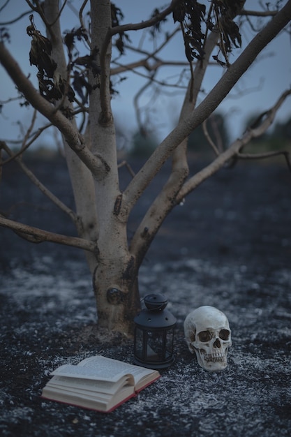 Petit arbre avec livre de sorts et crâne pour la nuit d'halloween