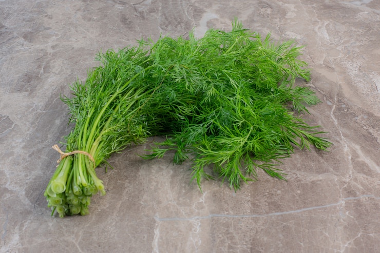 Photo gratuit un petit bouquet d'aneth frais et sain sur du marbre.