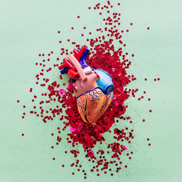 Photo gratuit petit coeur humain en plastique avec des paillettes sur la table
