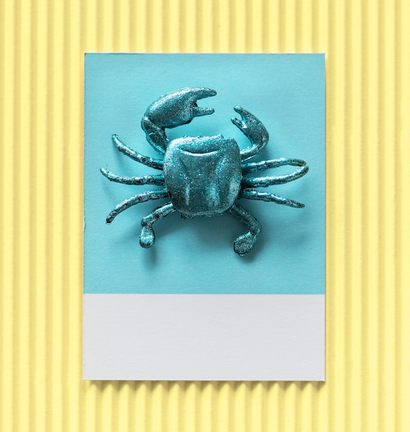 Petit crabe mignon sur un papier