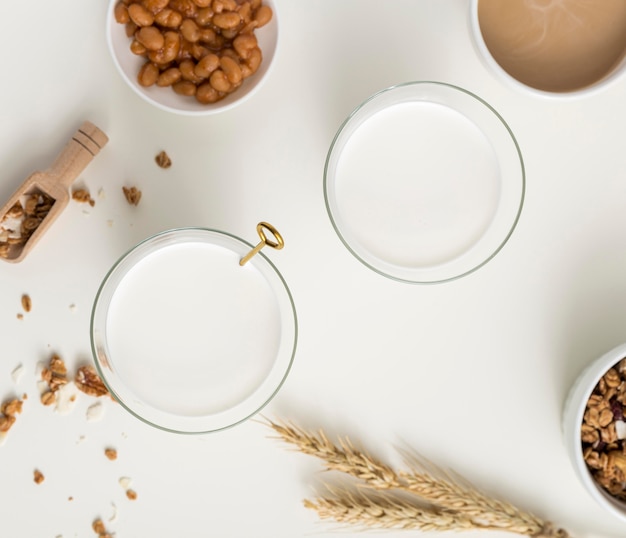 Petit déjeuner vue de dessus avec du lait biologique