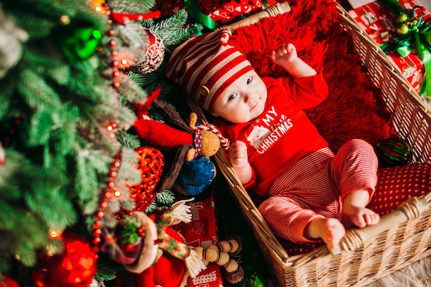 Petit enfant joue couché dans le panier sous le sapin de Noël vert