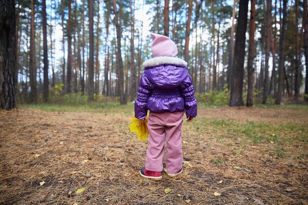 Un petit enfant se tient dos à la caméra dans une forêt ensoleillée d'automne. les gens à l'arrière.