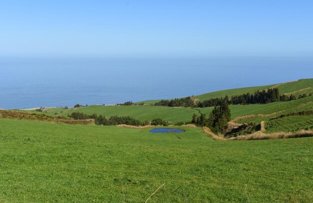 Petit étang dans un champ d'herbe le long de la côte des Açores.