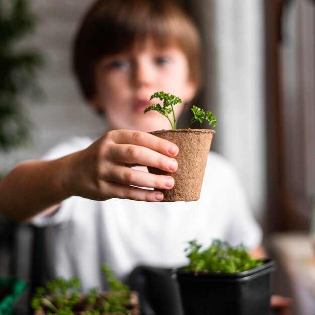 Petit garçon défocalisé tenant une plante en pot à la maison
