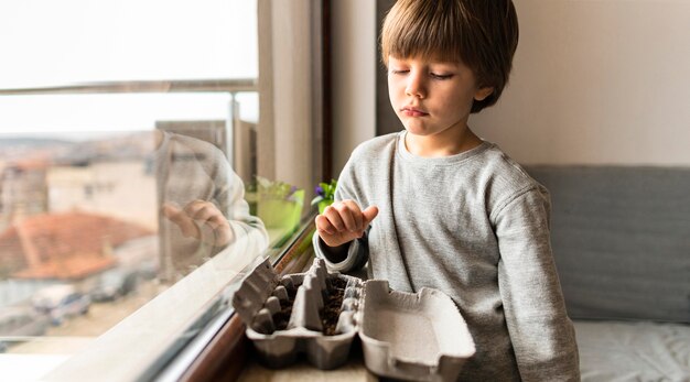 Petit garçon avec des graines plantées en carton d'oeufs