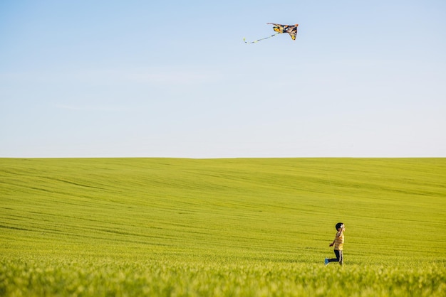 Petit garçon jouant avec le cerf-volant dans un pré vert