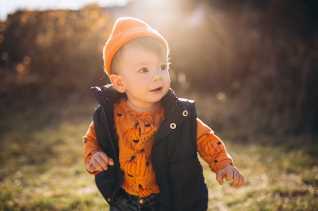 Petit garçon mignon dans un parc en automne