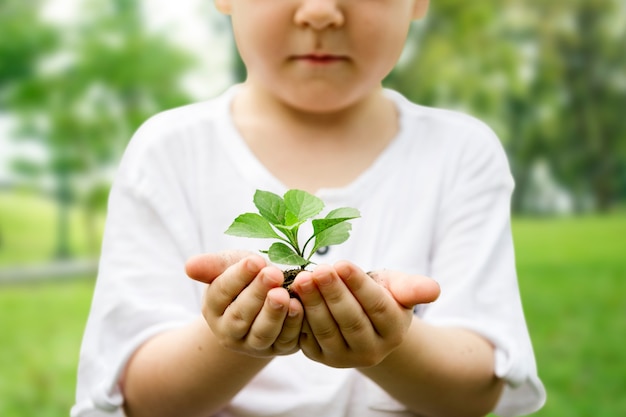 Petit garçon tenant de la terre et des plantes dans le parc Nous sommes fiers de s